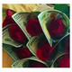 iren0404