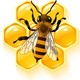 honey_1881